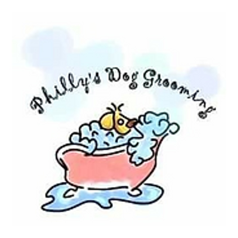Philly's Dog and Cat Grooming